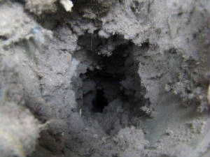 plugged_dryer_vent_causes_longer_drying_time_fire_hazard_heating_element_replacement_high_energy_use_condensation_in_duct_fire_hazard.jpg