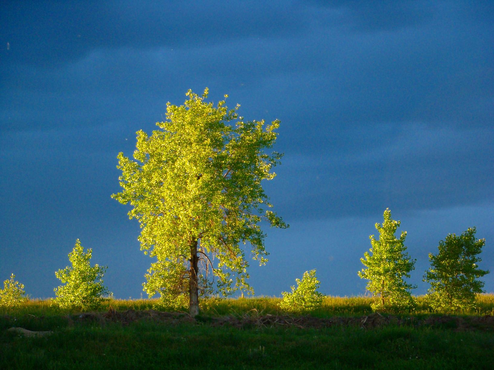 landscapes